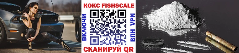 COCAIN Fish Scale  Купить закладки  Сегежа 
