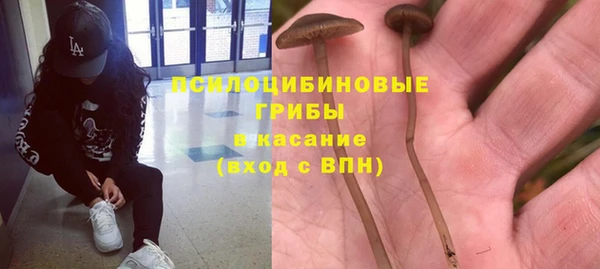 героин Богданович