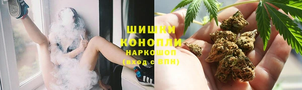 амф Шадринск