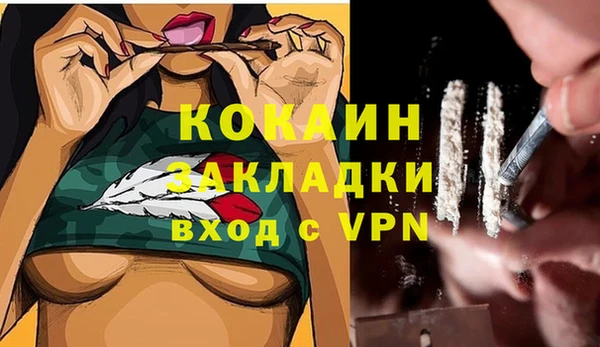 хмурый Богородицк