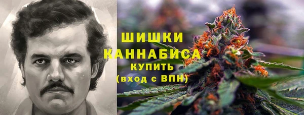 хмурый Богородицк