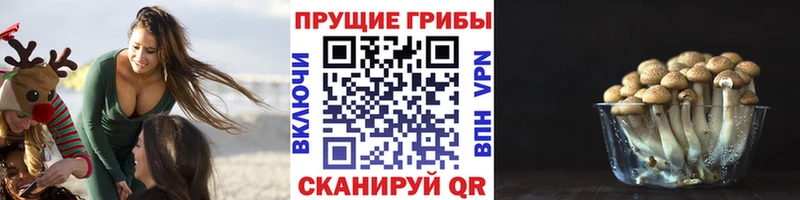 Псилоцибиновые грибы MAGIC MUSHROOMS  Купить  Сегежа 